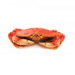 crabs1-300x225